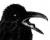 burzum